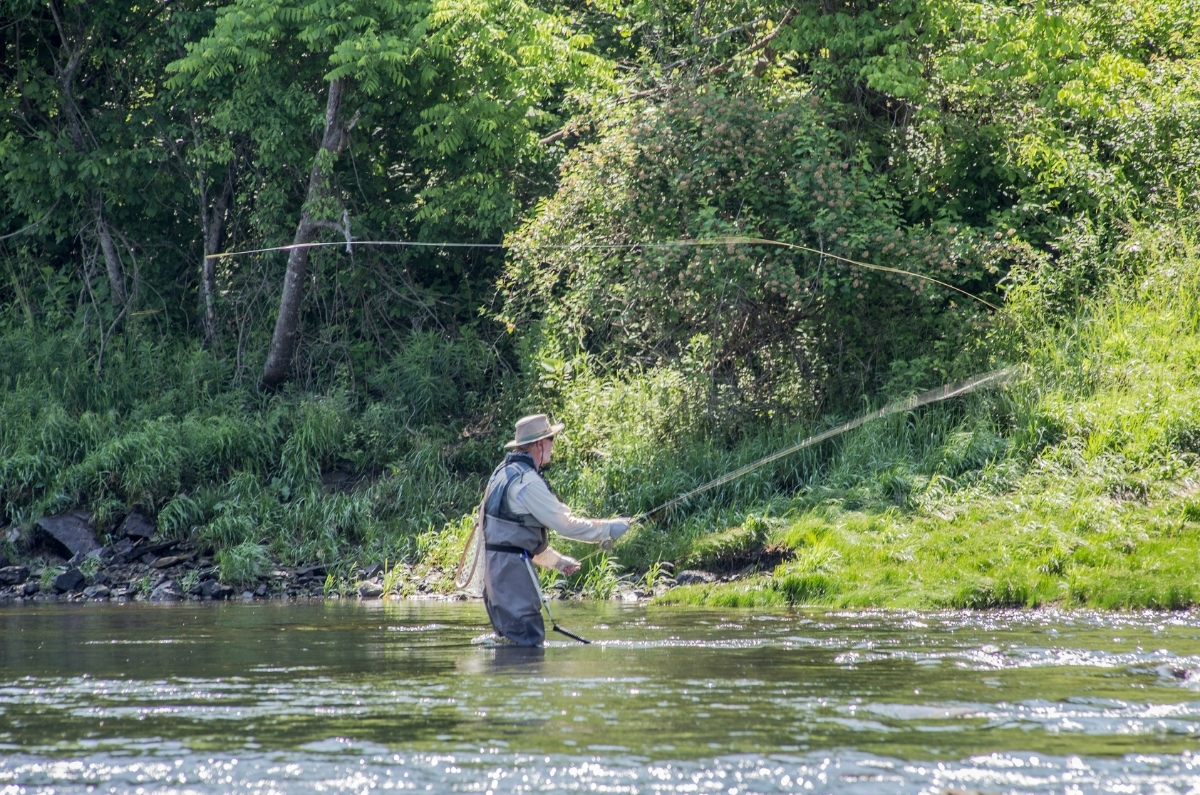 River Trout Fishing: How to Trap Trout in Rivers - The Teaching Imperative